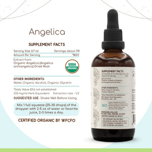 Angelica Tincture herbera Angelica Tincture herbera Herbal Extract