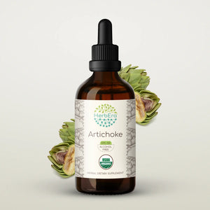 Artichoke Tincture herbera Artichoke Tincture herbera Herbal Extract