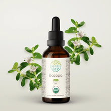 Load image into Gallery viewer, Bacopa Tincture herbera Bacopa Tincture herbera Herbal Extract