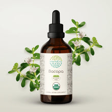 Load image into Gallery viewer, Bacopa Tincture herbera Bacopa Tincture herbera Herbal Extract