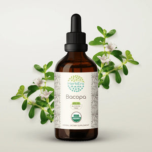 Bacopa Tincture herbera Bacopa Tincture herbera Herbal Extract