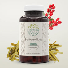 Load image into Gallery viewer, Barberry Root Capsules