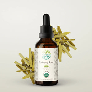 Barberry Root Tincture herbera Barberry Root Tincture herbera Herbal Extract