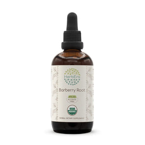 Barberry Root Tincture herbera Barberry Root Tincture herbera Herbal Extract