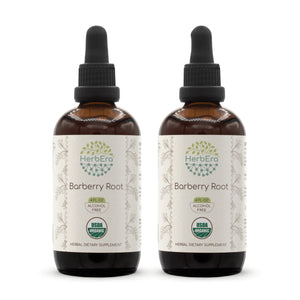 Barberry Root Tincture herbera Barberry Root Tincture herbera Herbal Extract