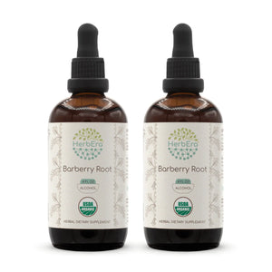 Barberry Root Tincture herbera Barberry Root Tincture herbera Herbal Extract