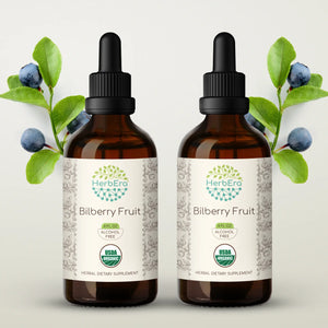 Bilberry Fruit Tincture herbera Bilberry Fruit Tincture herbera Herbal Extract