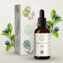 Load image into Gallery viewer, Bilberry Fruit Tincture