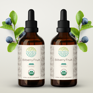Bilberry Fruit Tincture