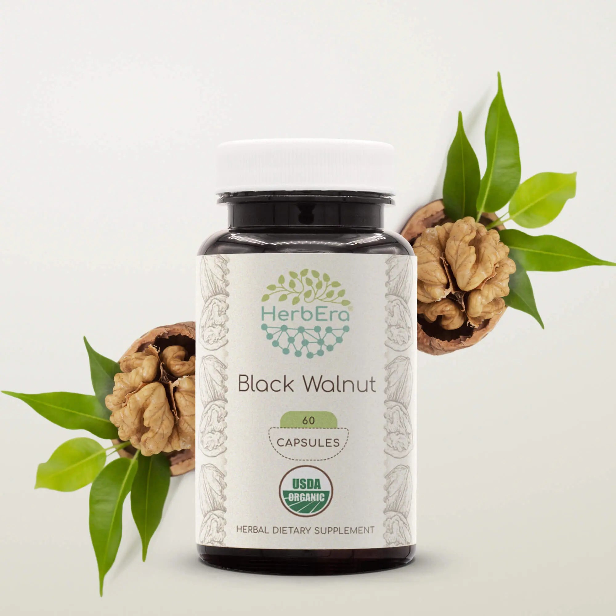 Black Walnut Capsules