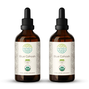 Blue Cohosh Tincture herbera Blue Cohosh Tincture herbera Herbal Extract