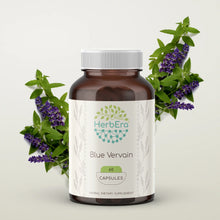 Load image into Gallery viewer, Blue Vervain Capsules herbera Blue Vervain Capsules herbera Capsules