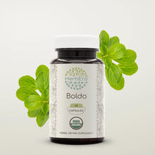 Load image into Gallery viewer, Boldo Capsules herbera Boldo Capsules herbera Capsules