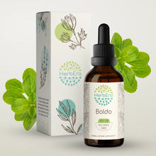 Load image into Gallery viewer, Boldo Tincture herbera Boldo Tincture herbera Herbal Extract