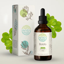 Load image into Gallery viewer, Boldo Tincture herbera Boldo Tincture herbera Herbal Extract