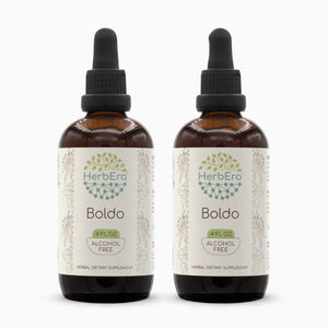 Boldo Tincture herbera Boldo Tincture herbera Herbal Extract