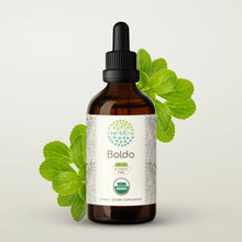 Load image into Gallery viewer, Boldo Tincture herbera Boldo Tincture herbera Herbal Extract