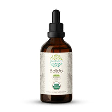 Load image into Gallery viewer, Boldo Tincture herbera Boldo Tincture herbera Herbal Extract