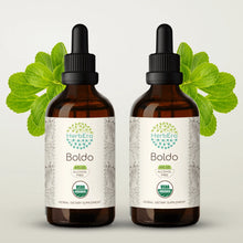 Load image into Gallery viewer, Boldo Tincture herbera Boldo Tincture herbera Herbal Extract