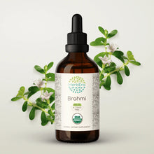 Load image into Gallery viewer, Brahmi Tincture herbera Brahmi Tincture herbera Herbal Extract