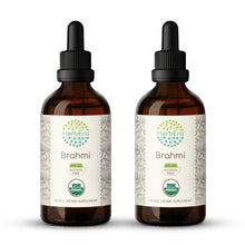 Load image into Gallery viewer, Brahmi Tincture herbera Brahmi Tincture herbera Herbal Extract