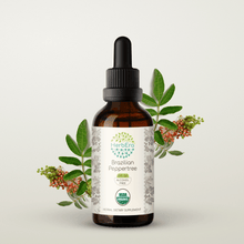 Load image into Gallery viewer, Brazilian Peppertree Tincture