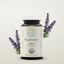 Load image into Gallery viewer, Bugleweed Capsules herbera Bugleweed Capsules herbera Capsules