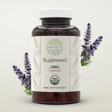 Load image into Gallery viewer, Bugleweed Capsules herbera Bugleweed Capsules herbera Capsules