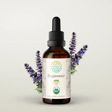 Load image into Gallery viewer, Bugleweed Tincture herbera Bugleweed Tincture herbera Herbal Extract