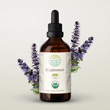 Load image into Gallery viewer, Bugleweed Tincture herbera Bugleweed Tincture herbera Herbal Extract