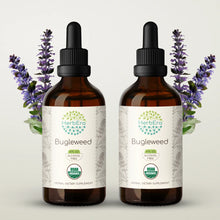 Load image into Gallery viewer, Bugleweed Tincture herbera Bugleweed Tincture herbera Herbal Extract