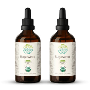 Bugleweed Tincture herbera Bugleweed Tincture herbera Herbal Extract