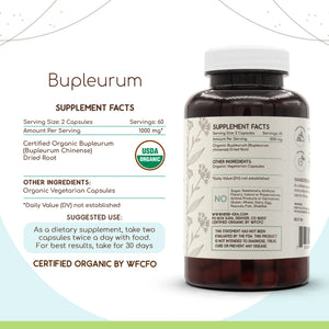 Bupleurum Capsules herbera Bupleurum Capsules herbera Capsules