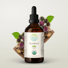 Load image into Gallery viewer, Burdock Tincture herbera Burdock Tincture herbera Herbal Extract