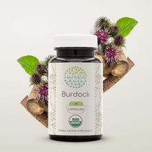 Load image into Gallery viewer, Burdock Capsules