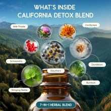 Load image into Gallery viewer, California Detox Blend HerbEra California Detox Blend HerbEra Formula