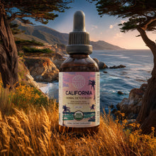 Load image into Gallery viewer, California Detox Blend HerbEra California Detox Blend HerbEra Formula