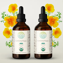 Load image into Gallery viewer, California Poppy Tincture herbera California Poppy Tincture herbera Herbal Extract