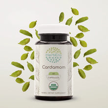 Load image into Gallery viewer, Cardamom Capsules herbera Cardamom Capsules herbera Capsules