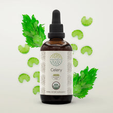 Load image into Gallery viewer, Celery Tincture herbera Celery Tincture herbera Herbal Extract