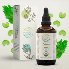 Load image into Gallery viewer, Celery Tincture herbera Celery Tincture herbera Herbal Extract