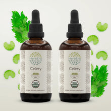 Load image into Gallery viewer, Celery Tincture herbera Celery Tincture herbera Herbal Extract