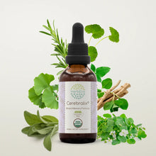 Load image into Gallery viewer, Cerebralix Tincture