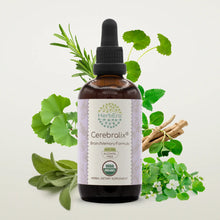 Load image into Gallery viewer, Cerebralix Tincture