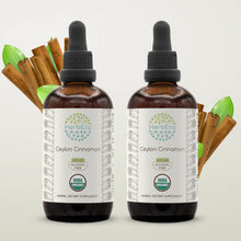 Load image into Gallery viewer, Ceylon Cinnamon Tincture herbera Ceylon Cinnamon Tincture herbera Herbal Extract