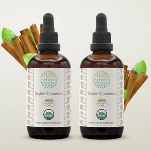 Ceylon Cinnamon Tincture herbera Ceylon Cinnamon Tincture herbera Herbal Extract