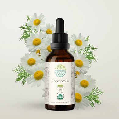 Chamomile Tincture herbera Chamomile Tincture herbera Herbal Extract