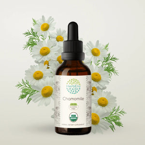 Chamomile Tincture herbera Chamomile Tincture herbera Herbal Extract