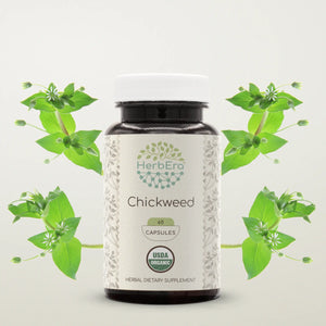 Chickweed Capsules herbera Chickweed Capsules herbera Capsules