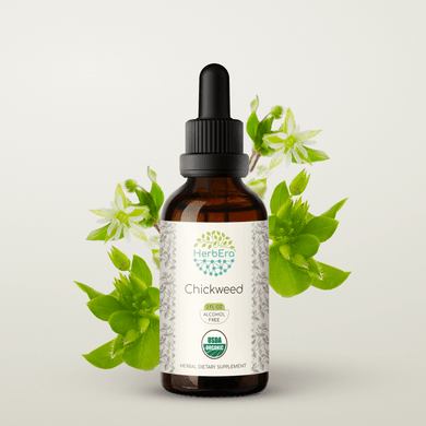 Chickweed Tincture herbera Chickweed Tincture herbera Herbal Extract